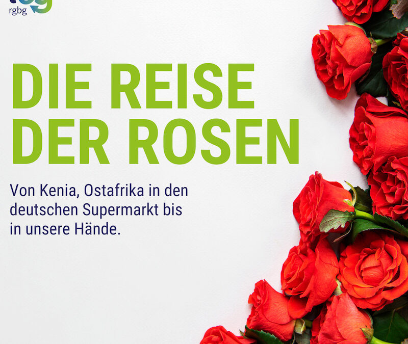 Die Reise der Rosen